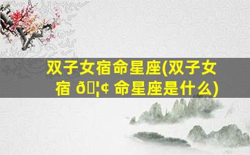 双子女宿命星座(双子女宿 🦢 命星座是什么)